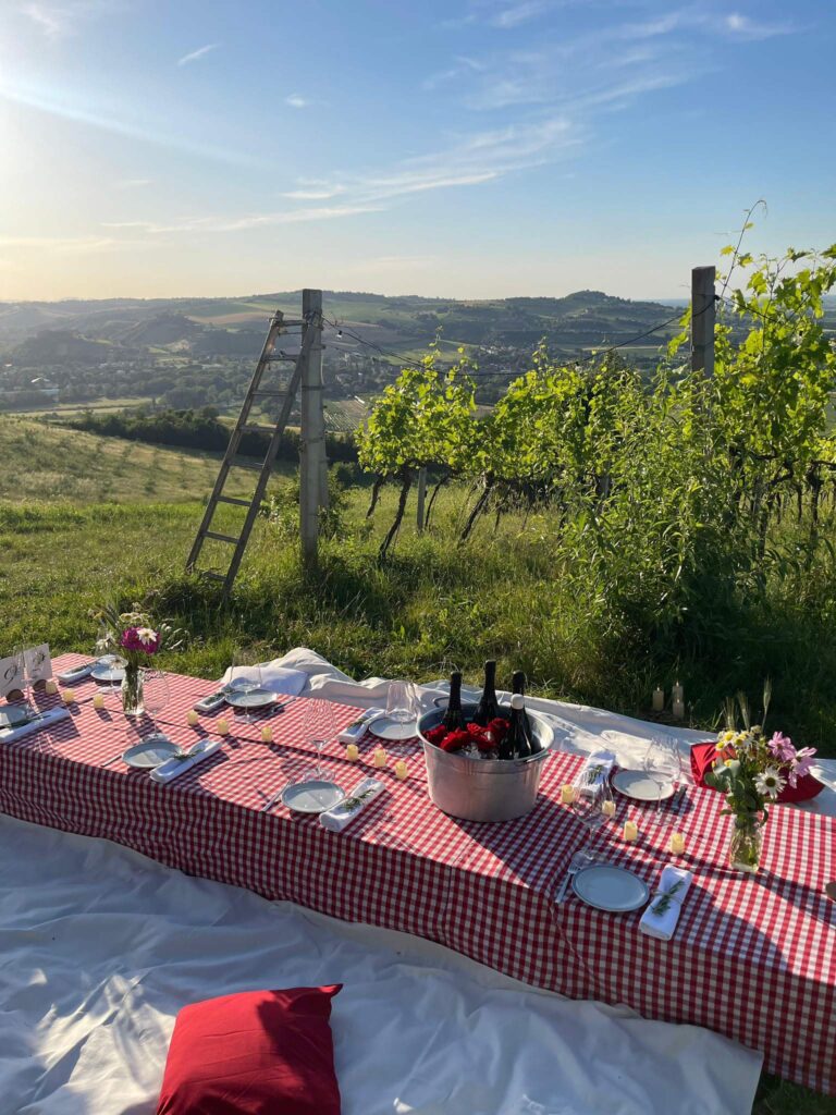 Degustazione Il picnic