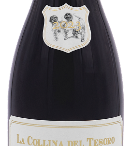 Predappio Romagna dop Sangiovese